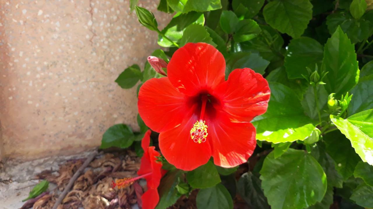 Ta' Rosalba B&B Nadur Exterior photo